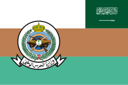 Ministry of National Guard Health Affairs (MNGHA)